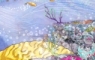 Coral Reef Illustration created as a personal project for a 35th (Coral) anniversary present