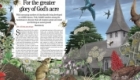 An illustration for countrylife magazine on wildlife to be found in a typically English churchyard