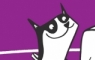 Destructive Cats