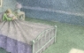 Junior fiction full colour