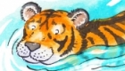 Tiger swims - self promotional piece
