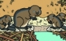 Beavers home