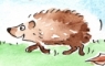 Hedgehog