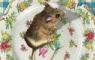 mouse on a plate