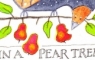 PARTRIDGE IN A PEAR TREE