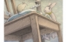 The House Rabbit DFB