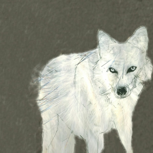 wolf for Fiona