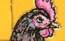 Yellow Chicken