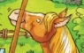 Horse's Tail