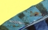 Jay Feather