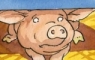 Little Pig