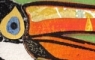 Toucan