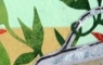 Watering Can