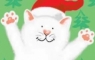 Xmas Cat Card