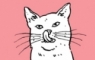 'why does my cat do that?'