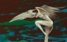 Fantasy wind birds