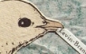 Word Bird