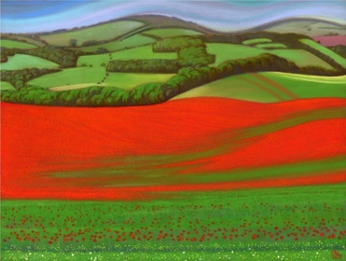 Poppy Fields at Falmer 2013