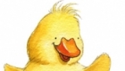 Duckling, character development for gift-wrap
