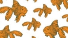 Goldfish repeat pattern