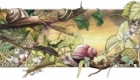 slugs and snails
An illustration for a wildlife calendar.